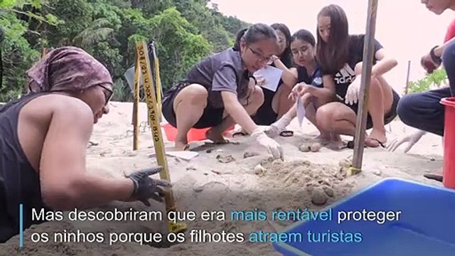 Os guardiões das tartarugas