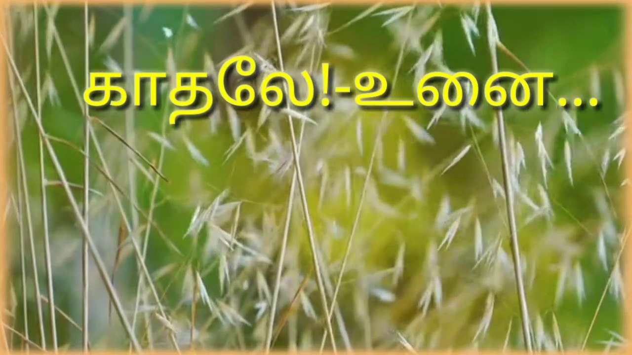 முதல் முத்தம் - கவிதை