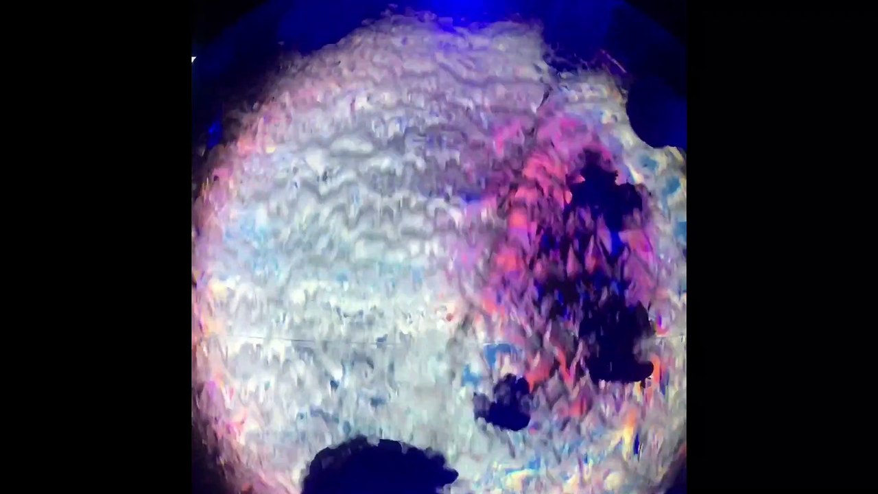 Amazing Jellyfish