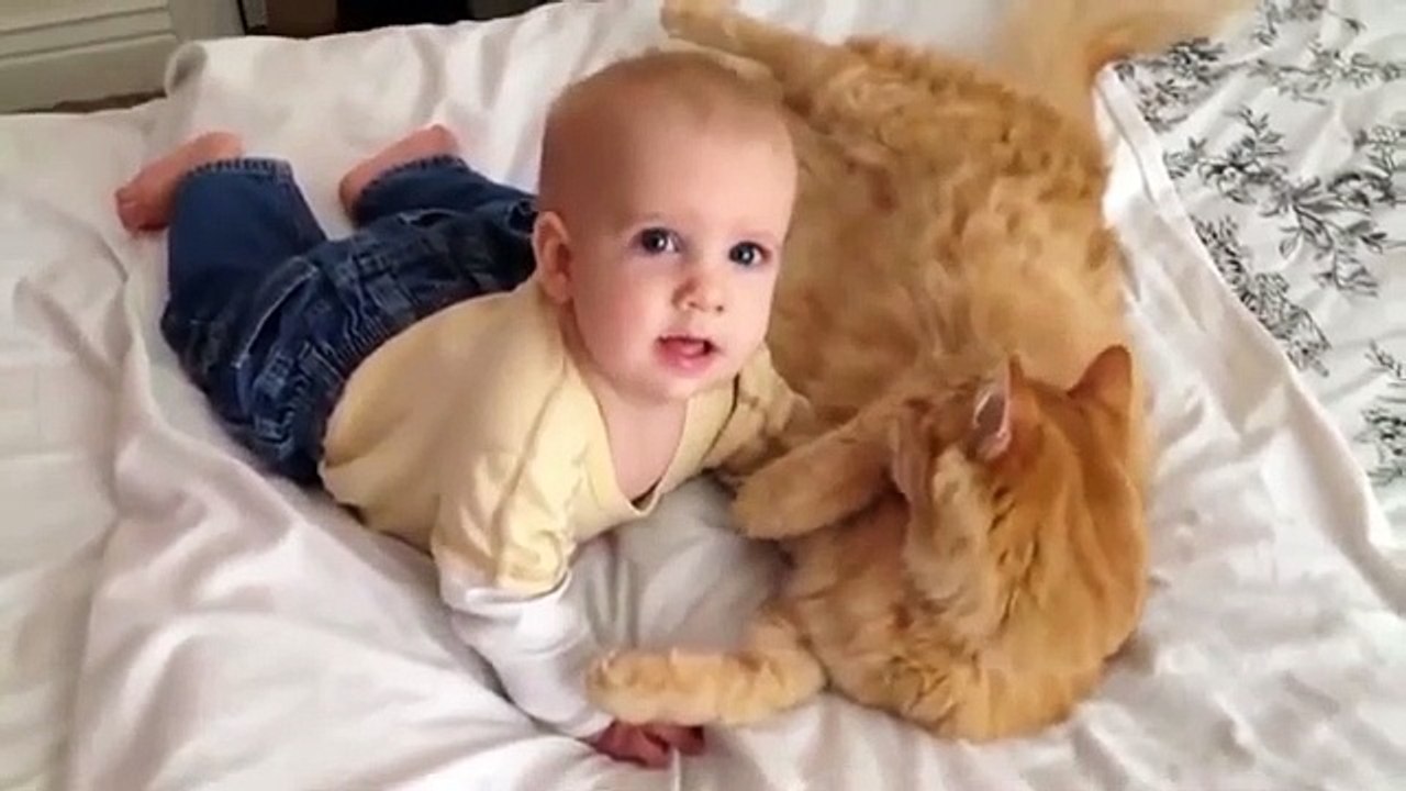 cat and baby