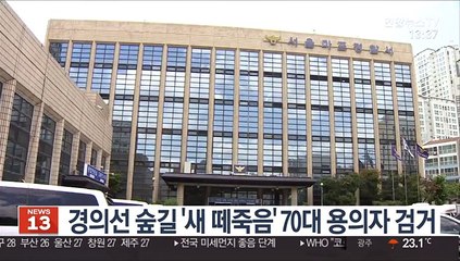 경의선 숲길 '새 떼죽음' 70대 용의자 검거