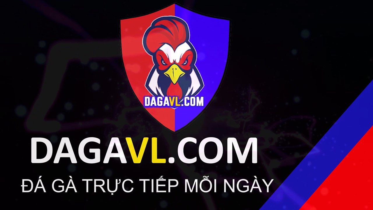 DAGAVL.COM - đá gà trực tiếp. Bắt 31 đối tượng đá gà ăn tiền tại Tân Lập, đá gà thomo, đá gà campuchia.