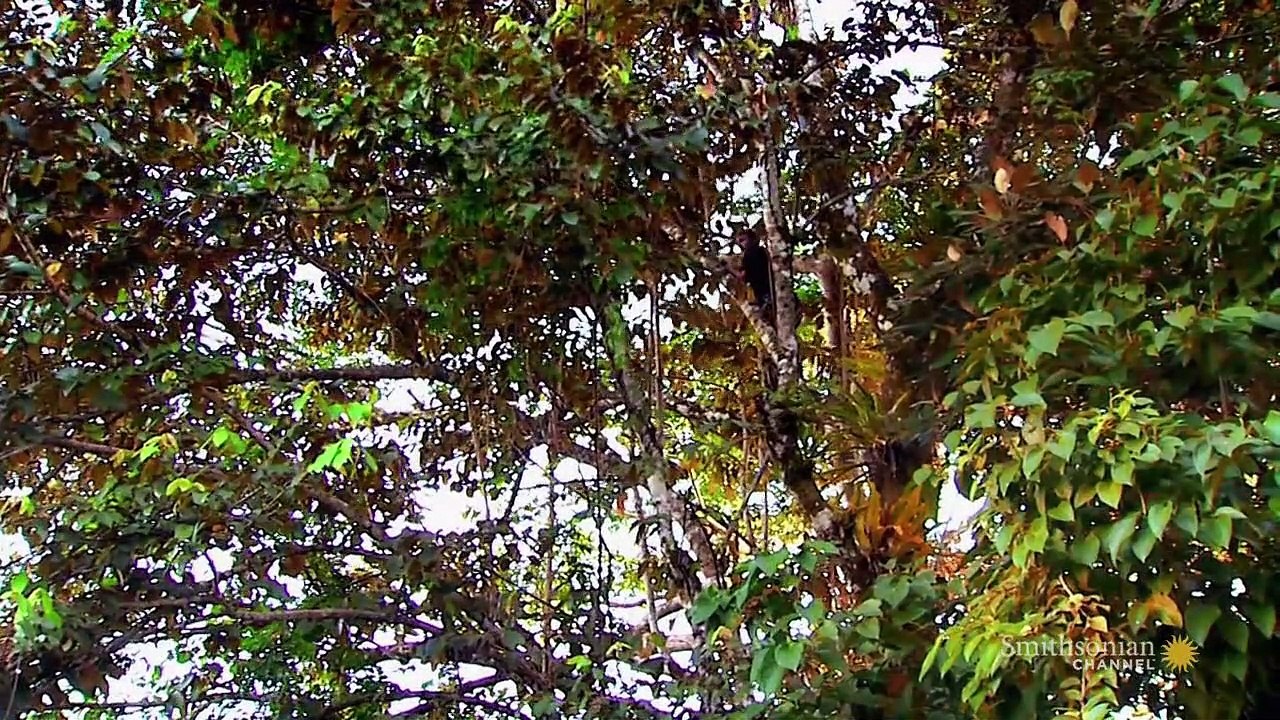 Stories From the Vaults : Nature's Vault