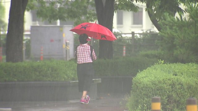 [날씨] 내일까지 중부 국지성 호우...충청 150mm↑ / YTN
