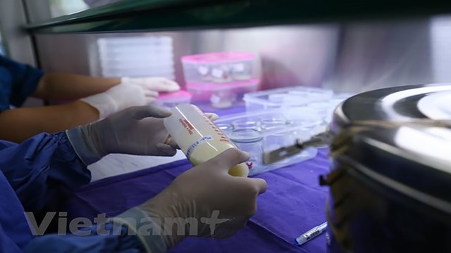 Miền Bắc có ngân hàng sữa mẹ đầu tiên | VTC
