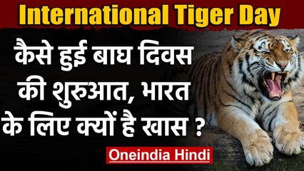 International Tiger Day 2020: कैसे हुई बाघ दिवस की शुरुआत, भारत के लिए क्यों है खास | वनइंडिया हिंदी