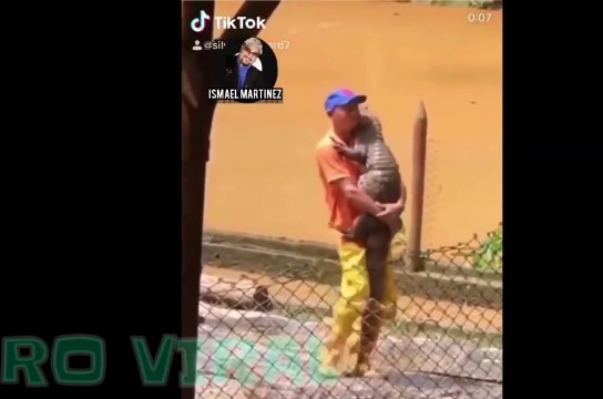 Videos Graciosos Virales Si Te Ríes Pierdes 1