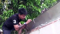 Python tries to bite snake wrangler after being caught in family's roof