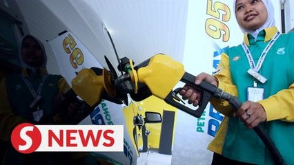 Govt to scrap petrol subsidy programme (PSP)