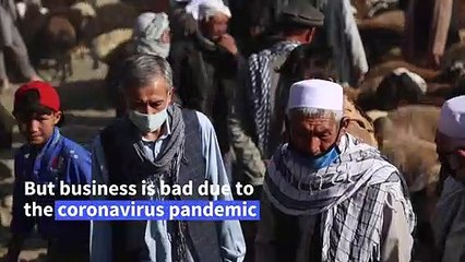 Coronavirus: Afghan farmers say low sales ahead of Eid al-Adha