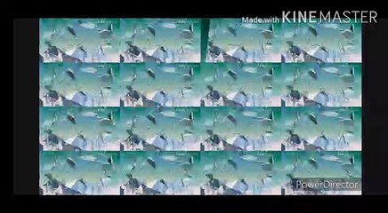 Dil maag raha hai love status -C M M CREATION