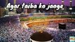 Hara gumbad jo dekhoge jamana bhool jaoge | Naat | lyrical video | Islamic music