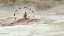 Karnataka: Man trapped in strong water current, NDRF rescues