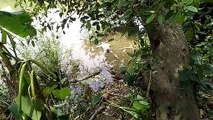 बाराबंकी: तीन दिन पूर्व गायब युवक का शव तालाब में उतराता मिला