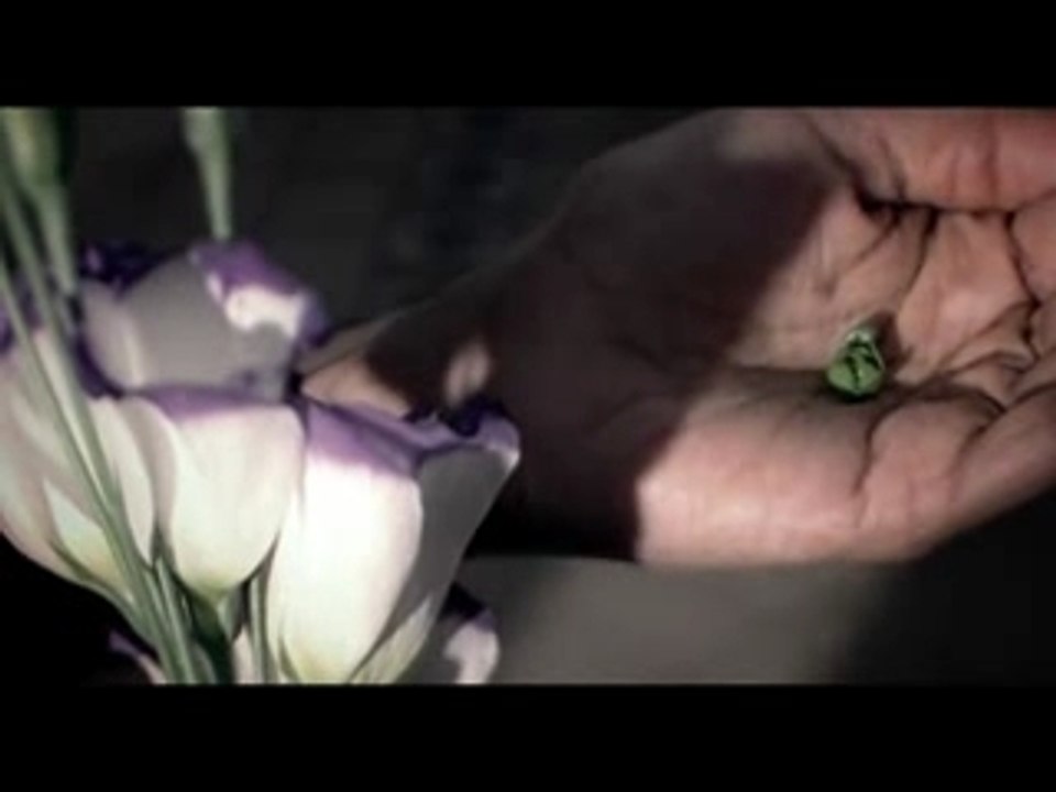 Mink - Hold on to a dream