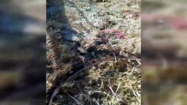 Hakurk’ta icra edilen arama tarama faaliyetinde EYP tespit edilerek imha edildi