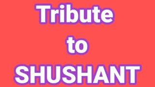 Greatest tribute to sushant singh rajput | justice for ssr | sushamt simgh rajput videos | THE EXPOSE EXPRESS