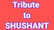 Greatest tribute to sushant singh rajput | justice for ssr | sushamt simgh rajput videos | THE EXPOSE EXPRESS
