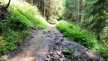 VOSGES - CASCADE DU RUDLIN