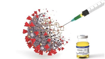 Oxford vaccine மனித உடலில் இப்படி தான் வேலை செய்யும்