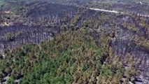 Orman yangını kontrol altına alınan orman yangını bölgesindeki soğutma çalışması sürüyor - EDİRNE