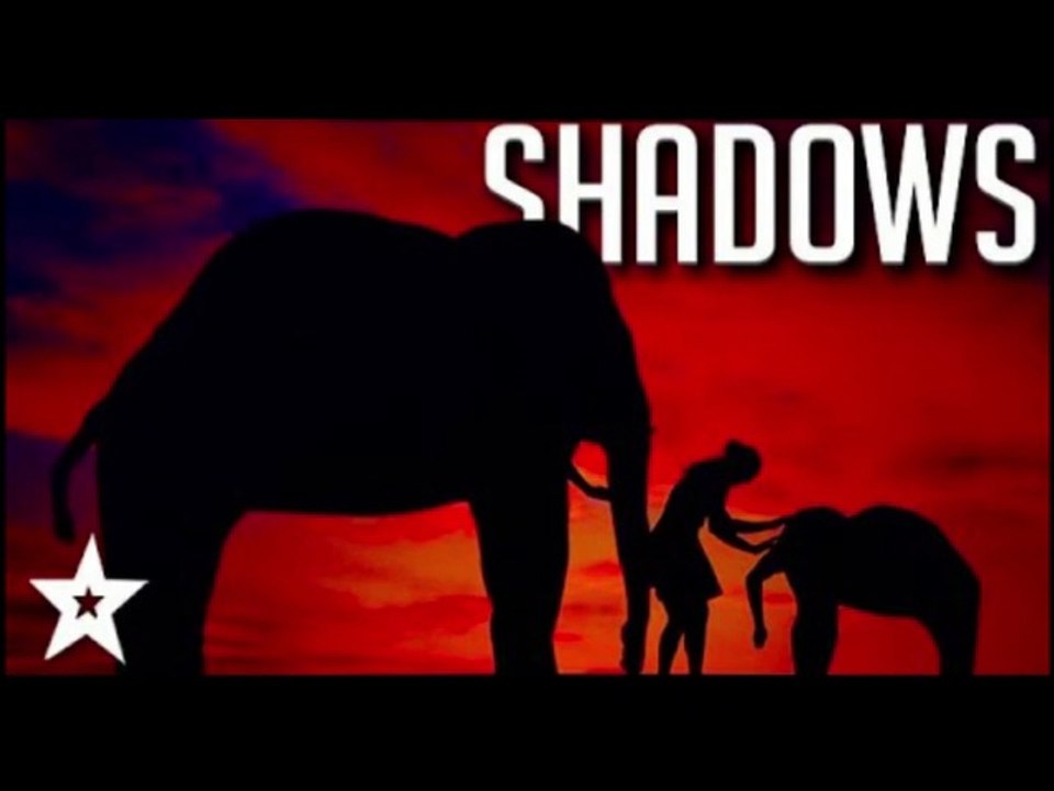 BREATHTAKING Shadows Act about GLOBAL WARMING on Got Talent France | Got Talent Global