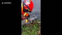 Team of firefighters cut open metal pipe to rescue trapped kitten in Indonesia