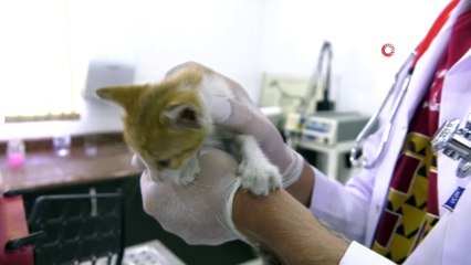 Motor kaputuna sıkışan yavru kedi uzun çabalar sonrası kurtarıldı