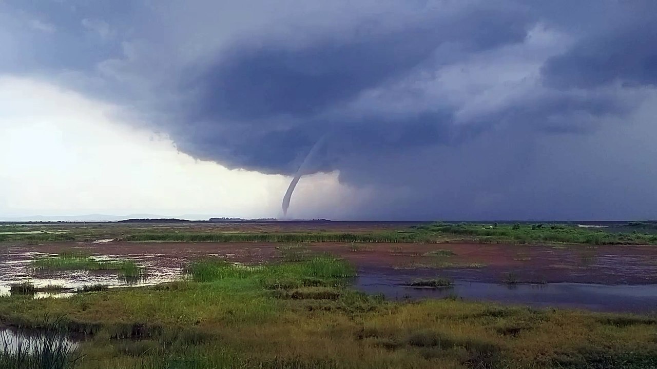 Huge landspout tornado rips through farmer's field