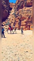 PETRA - kingdom of jordan