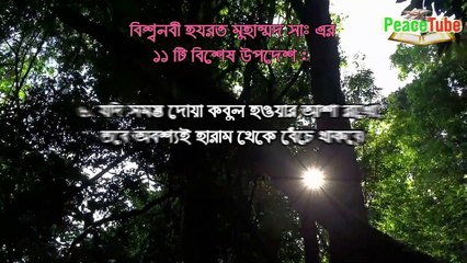 বিশ্বনবী হযরত মুহাম্মাদ সঃ এর ১১ টি মূল্যবান উপদেশ | Most Important 11 Advice of Rasul SM