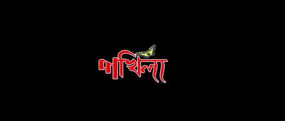 POKHILA || NEEL AKASH || Assamese Romantic Song 2019