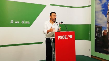 PSOE-A ve un "desastre" el reparto de mascarillas y pide documentación ante "sospechas de trato de favor" en el contrato