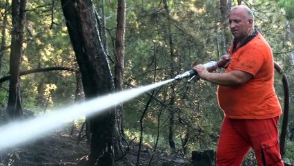Ormanlık alanda çıkan örtü yangını söndürüldü - KASTAMONU