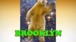 Happy Birthday Brooklyn - Brooklyn's Birthday Song - Brooklyn's Birthday Party