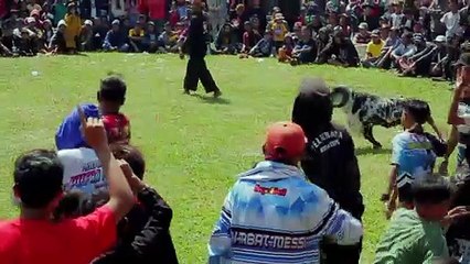 SENI KETANGKASAN DOMBA GARUT