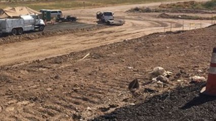 실종됐던 미 애리조나대 한인 교수, 끝내 시신으로 발견 / YTN