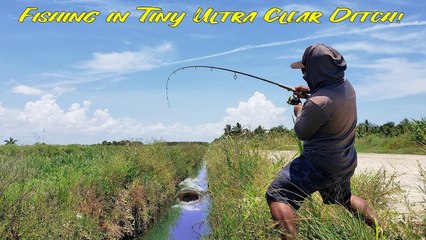 Fishing in Tiny ULTRA CLEAR Water Ditch!  What Happens_