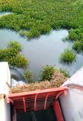 'Gestionamos ante CONAGUA la liberación del Canal Cahuinahua para el flujo de lodos retenidos': JAPAF