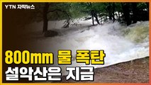 [자막뉴스] '800mm 물 폭탄' 쏟아진 강원도 설악산은 지금 / YTN