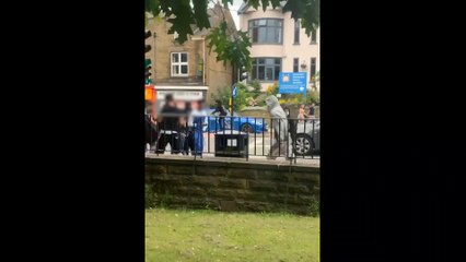 Machete is pulled near Endcliffe Park, Sheffield