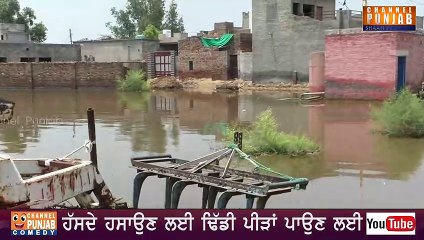 ਮੀਂਹ ਦੇ ਪਾਣੀ ਨੇ ਲੋਕਾਂ ਦੇ ਘਰਾਂ 'ਚ ਮਚਾਈ ਤਬਾਹੀ | Heavy Rain | Fazilka