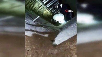 Eski taş değirmen kuyusuna düşen yavru tilkiyi itfaiye ekipleri kurtardı