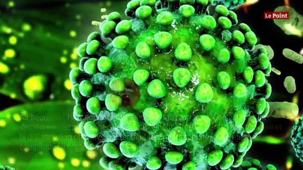 Tourisme en Corse : une saison en enfer