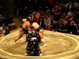 Combat Sumo
