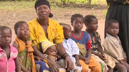 بلدان الساحل الأفريقي تحقق نجاحات في زيادة المساحات المزروعة رغم الجفاف وتذبذب الأمطار