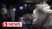 Ancient limestone cave could be lost to buffaloes and vandals