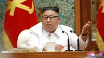 North Korea declares emergency over first reported COVID-19 case