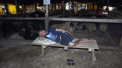 Kurban satıcılarının zorlu mesaisi