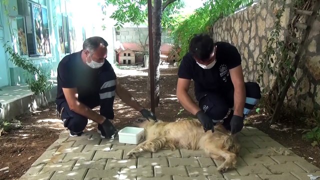 Güneydoğu Anadolu sıcaklarla kavruluyor (2) - ADIYAMAN/ŞANLIURFA